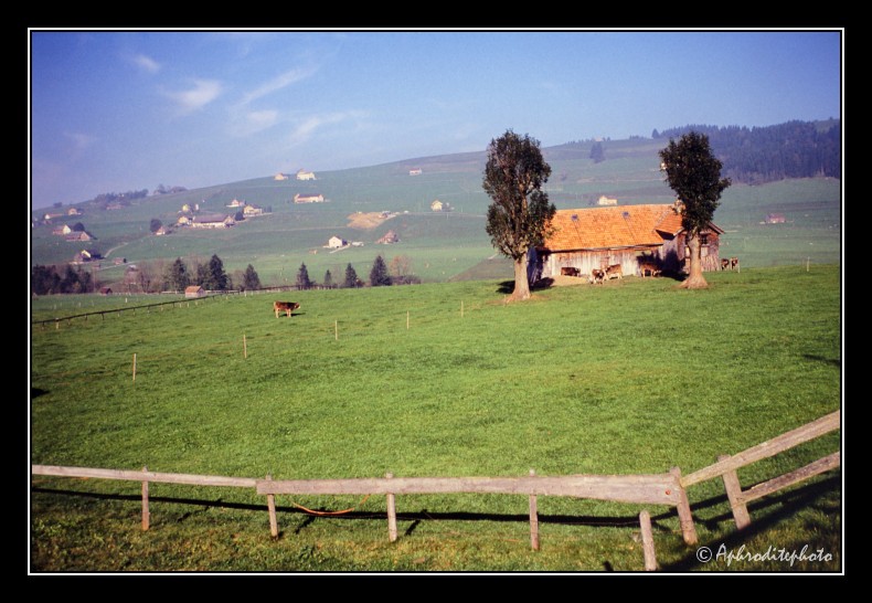 23 Typische Landschaft